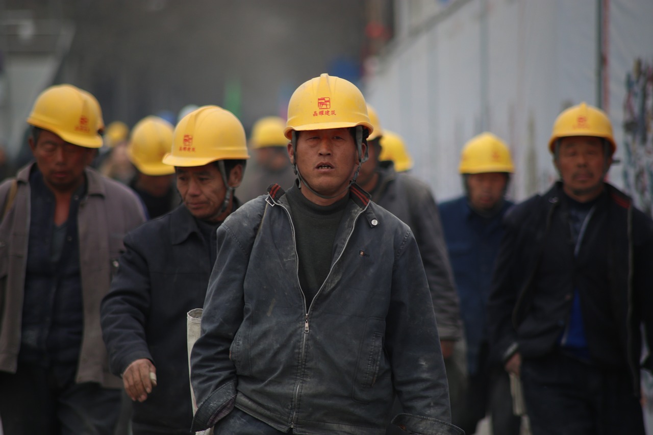 深度探討，專業(yè)的內(nèi)涵與外延解析